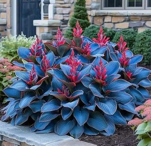 Хоста Грин Фог купить по цене от 669р. в интернет-магазине «Посадика» с доставкой почтой в в Бугуруслане и по всей России – [изображение №1].